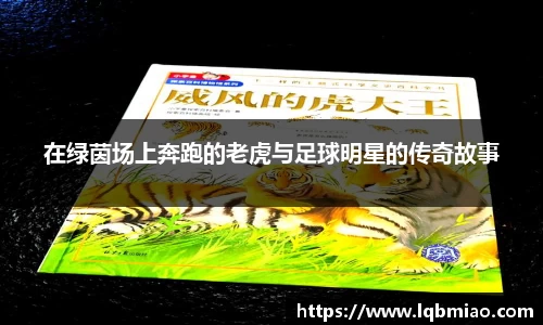优游平台